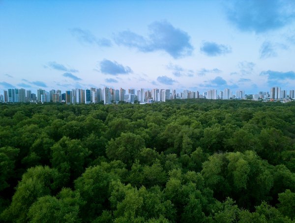 Les avantages de la cryolipolyse : ce qu'il faut savoir à nice