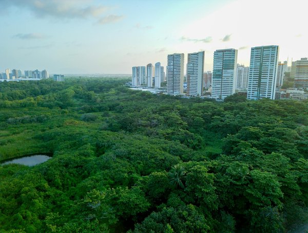 Avocats spécialisés en succession à marseille : top conseils pratiques