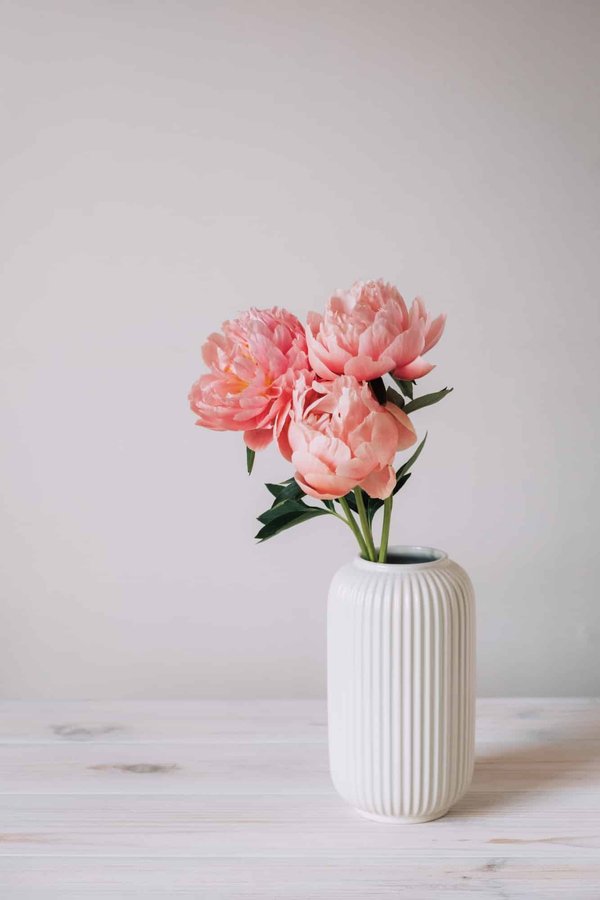 Conseils de décoration : comment choisir le bon vase pour vos fleurs