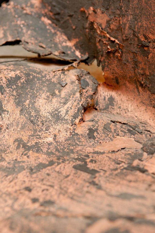 Explorer les implications économiques et géopolitiques du cours du cuivre