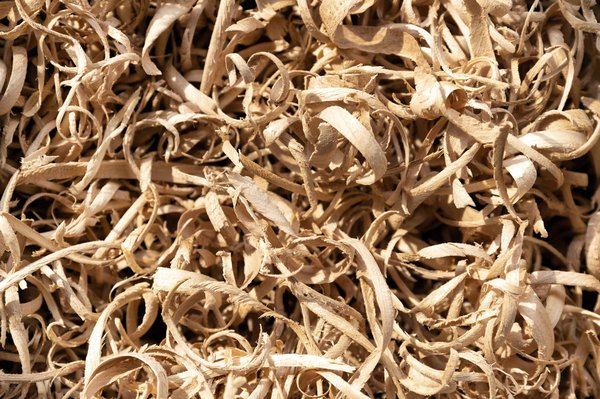 Frisure bois de qualité supérieure pour un calage efficace